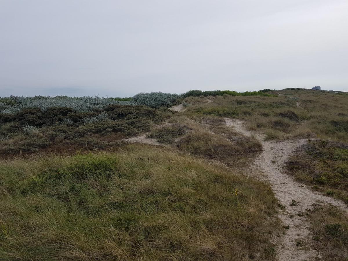Seacottage Blankenberge - Wenduine De Haan Eksteriør bilde