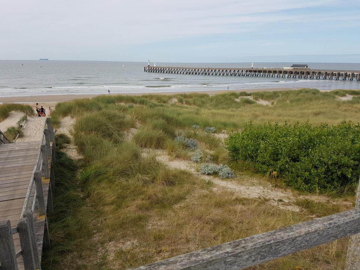 Seacottage Blankenberge - Wenduine De Haan Eksteriør bilde